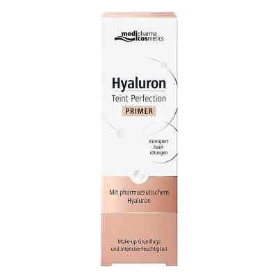 Hyaluron Teint Perfection Primer 30 ml von Dr. Theiss Naturwaren GmbH PZN 13947600