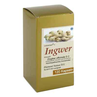 Ingwer Kapseln 120 stk von Diamant Natuur GmbH PZN 01316395