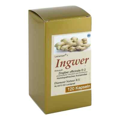 Ingwer Kapseln 120 stk von Diamant Natuur B. V. s.r.o. PZN 01316395