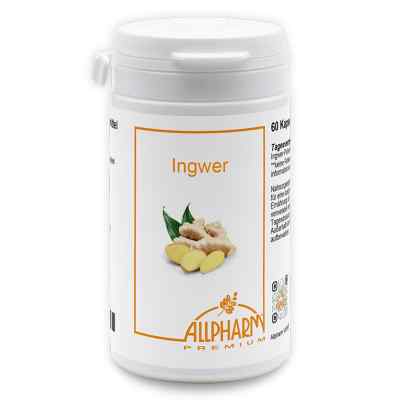 Ingwer Kapseln 300 mg 60 stk von RAAB VITALFOOD GMBH PZN 02771380