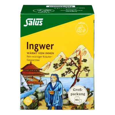 Ingwer Kräuter-gewürztee-mischung Bio Salus Fbtl. 40 stk von SALUS Pharma GmbH PZN 05726658