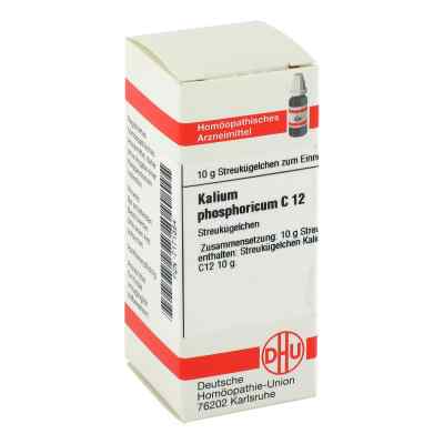 Kalium Phosphoricum C12 Globuli 10 g von DHU-Arzneimittel GmbH & Co. KG PZN 07171354