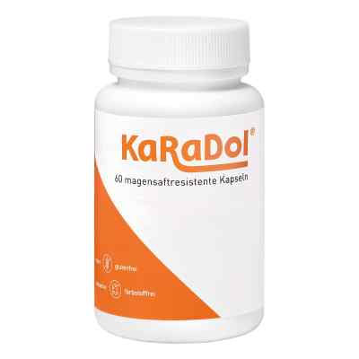 Karadol Magensaftresistente Kapseln 60 stk von Volopharm GmbH Deutschland PZN 19334614