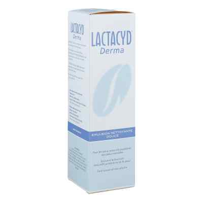 Lactacyd Derma Waschsyndet