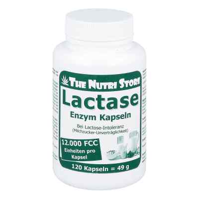 Lactase 12000 Fcc Enzym Kapseln 120 stk von Hirundo Products PZN 09886376