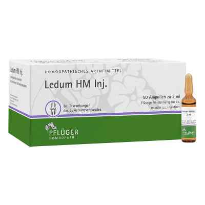 Ledum Hm Injekt Ampullen 50 stk von Homöopathisches Laboratorium Ale PZN 01033349
