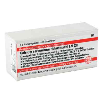 Lm Calcium Carb. Xii Globuli Hahnemanni 5 g von DHU-Arzneimittel GmbH & Co. KG PZN 02677037