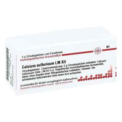 Lm Calcium Sulfuricum Xii Globuli 5 g von DHU-Arzneimittel GmbH & Co. KG PZN 02822060
