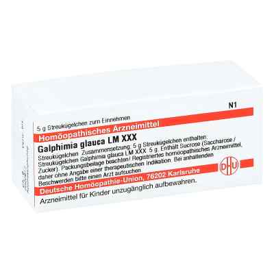 Lm Galphimia Glauca Xxx Globuli 5 g von DHU-Arzneimittel GmbH & Co. KG PZN 04504944