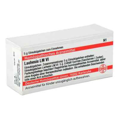Lm Lachesis Vi Globuli 5 g von DHU-Arzneimittel GmbH & Co. KG PZN 02659588