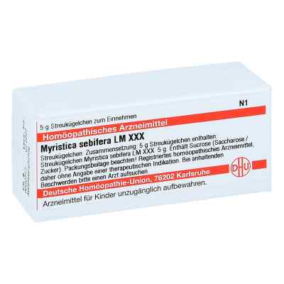 Lm Myristica Sebifer. Xxx Globuli 5 g von DHU-Arzneimittel GmbH & Co. KG PZN 04507374