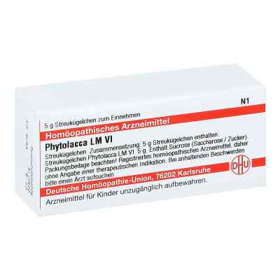 Lm Phytolacca Vi Globuli 5 g von DHU-Arzneimittel GmbH & Co. KG PZN 04507977