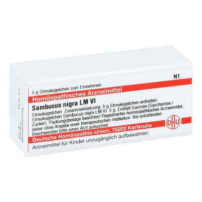 Lm Sambucus Nigra Vi Globuli 5 g von DHU-Arzneimittel GmbH & Co. KG PZN 04508758