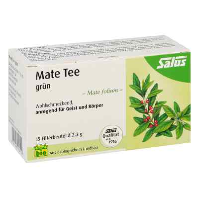 Mate Tee grün Kräutertee Mate folium bio Salus 15 stk von SALUS Pharma GmbH PZN 06494316