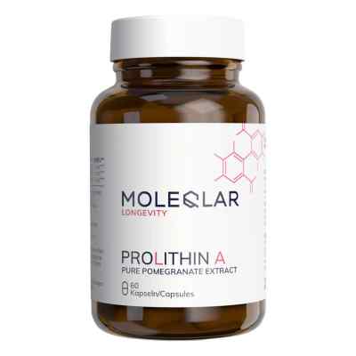 Moleqlar Prolithin A Kapseln (Urolithin A Vorläufer)