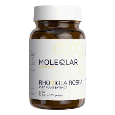 Moleqlar Rhodiola Rosea Kapseln