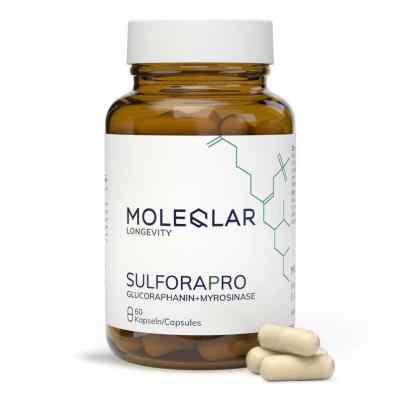 Moleqlar Sulforapro Glucoraphanin+Myrosinase Kapsel (n) 