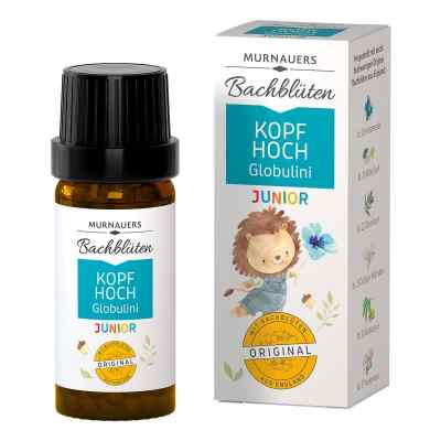 Murnauers Bachblüten Kinder Kopf hoch Globulini
