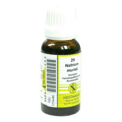 Natrium Muriat. Komplex Nummer 29 20 ml von NESTMANN Pharma GmbH PZN 00704480