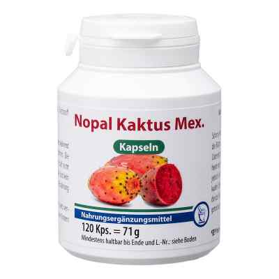 Nopal Kaktus mex.Kapseln 120 stk von Pharma Peter GmbH PZN 03134072