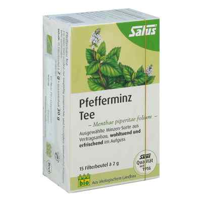 Pfefferminz Tee Menthae piperitae folium bio Salus 15 stk von SALUS Pharma GmbH PZN 09002319