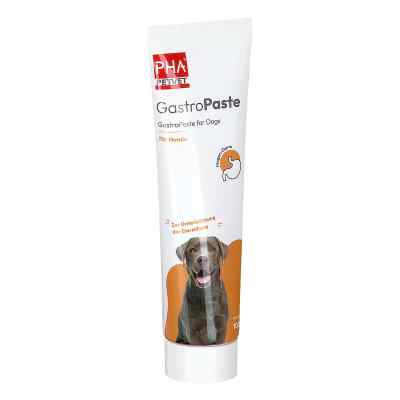 PHA Gastropaste für Hunde