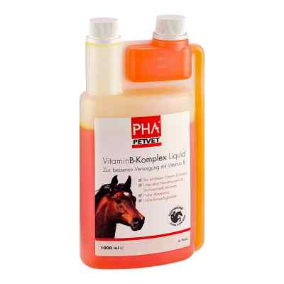 PHA Vitamin B Komplex Liquid für Pferde