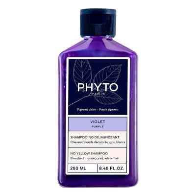 Phytosilver Farbkorrektur Shampoo 250 ml von Laboratoire Native Deutschland GmbH PZN 18706692