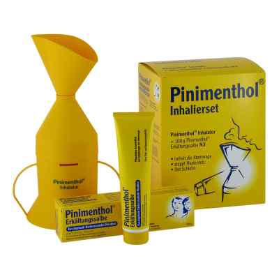 Pinimenthol Erkältungssalbe 1 stk von Dr.Willmar Schwabe GmbH & Co.KG PZN 03902097