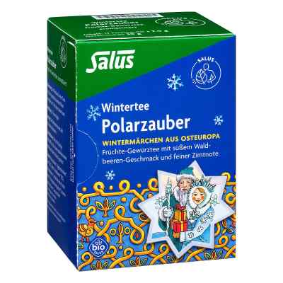 Polarzauber Früchte-Gewürztee Salus