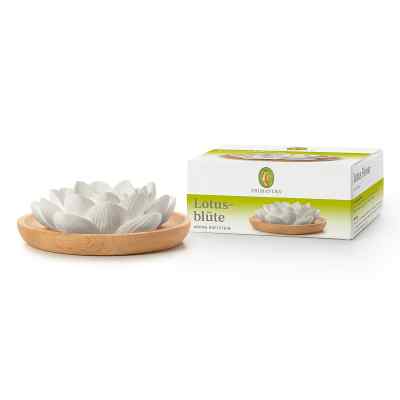 Primavera® Aroma Duftstein Lotusblüte
