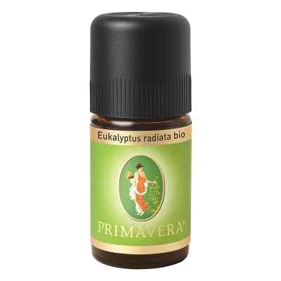 Primavera® Eukalyptus radiata ätherisches Öl