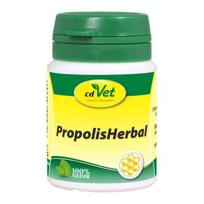 Propolis Herbal Pulver veterinär 20 g von cdVet Naturprodukte GmbH PZN 13243684