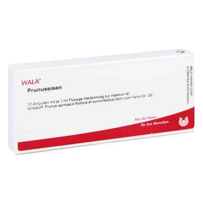 Prunuseisen Ampullen