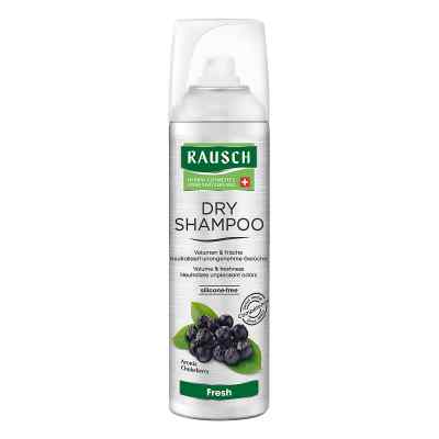 Rausch Dry Shampoo fresh Dosierspray 150 ml von RAUSCH (Deutschland) GmbH PZN 13722545