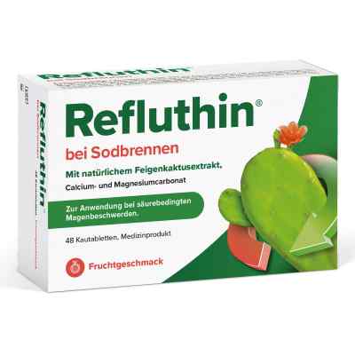 Refluthin Bei Sodbrennen Kautabletten Frucht 48 stk von Dr.Willmar Schwabe GmbH & Co.KG PZN 16011276