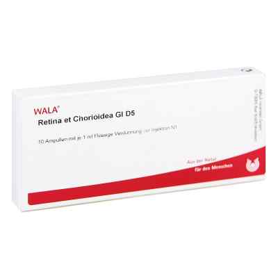 Retina Et Chorioidea Gl D5 Ampullen