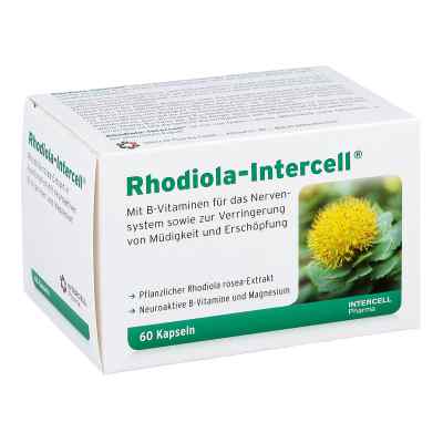 Rhodiola Intercell Kapseln 60 stk von INTERCELL-Pharma GmbH PZN 10210276