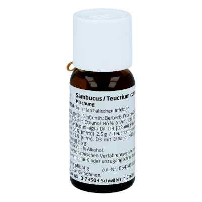 Sambucus / Teucrium compositus Dilution