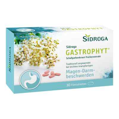 Sidroga Gastrophyt 250 mg Filmtabletten 30 stk von Sidroga Gesellschaft für Gesundh PZN 17306588