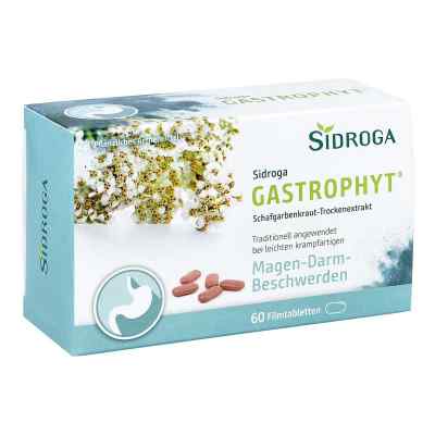 Sidroga Gastrophyt 250 mg Filmtabletten 60 stk von Sidroga Gesellschaft für Gesundh PZN 17306594