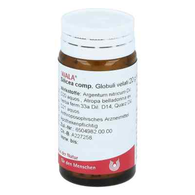 Silicea Comp. Globuli 20 g von WALA Heilmittel GmbH PZN 08787732
