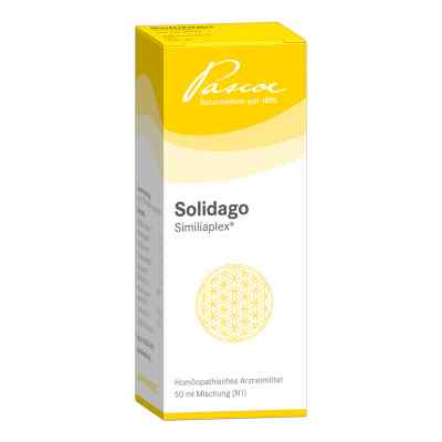 Solidago Similiaplex Tropfen 50 ml von Pascoe pharmazeutische Präparate PZN 05463785