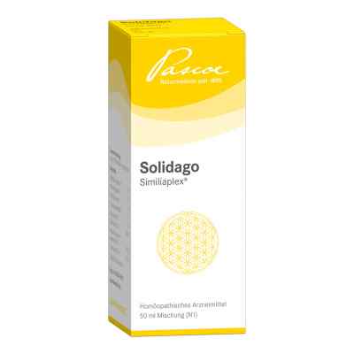 Solidago Similiaplex Tropfen