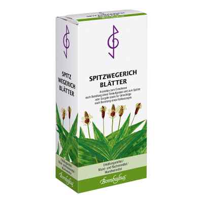 SPITZWEGERICHBLÄTTER BOMBASTUS