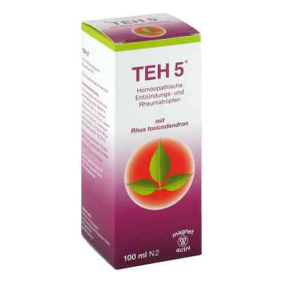 Teh 5 Tropfen 100 ml von Infirmarius GmbH PZN 05860664