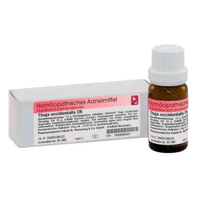 Thuja D6 Globuli 10 g von Dr.RECKEWEG & Co. GmbH PZN 00909555