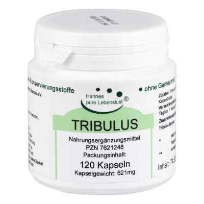 Tribulus Kapseln 120 stk von G & M Naturwaren Import GmbH & Co. KG PZN 07621248