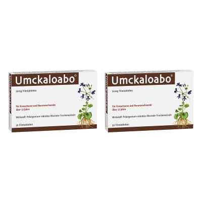 Umckaloabo 20 Mg Filmtabletten 2x30 stk von Dr.Willmar Schwabe GmbH & Co.KG PZN 08102716