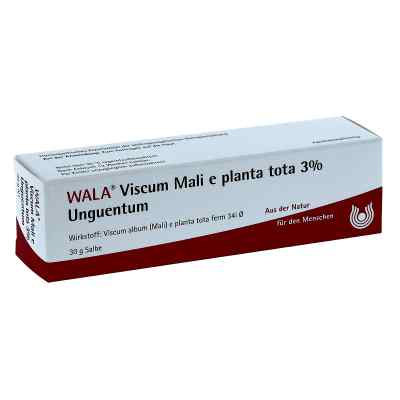 Viscum Mali e planta tota Salbe 3% 30 g von WALA Heilmittel GmbH PZN 02198578